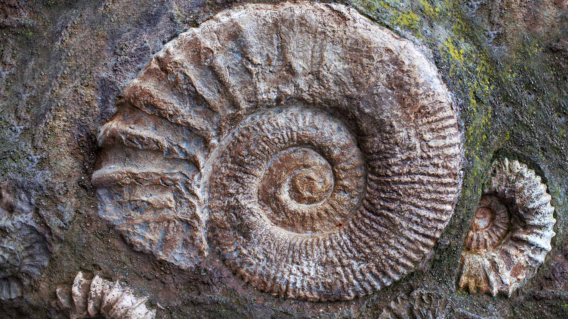 Spirals through time