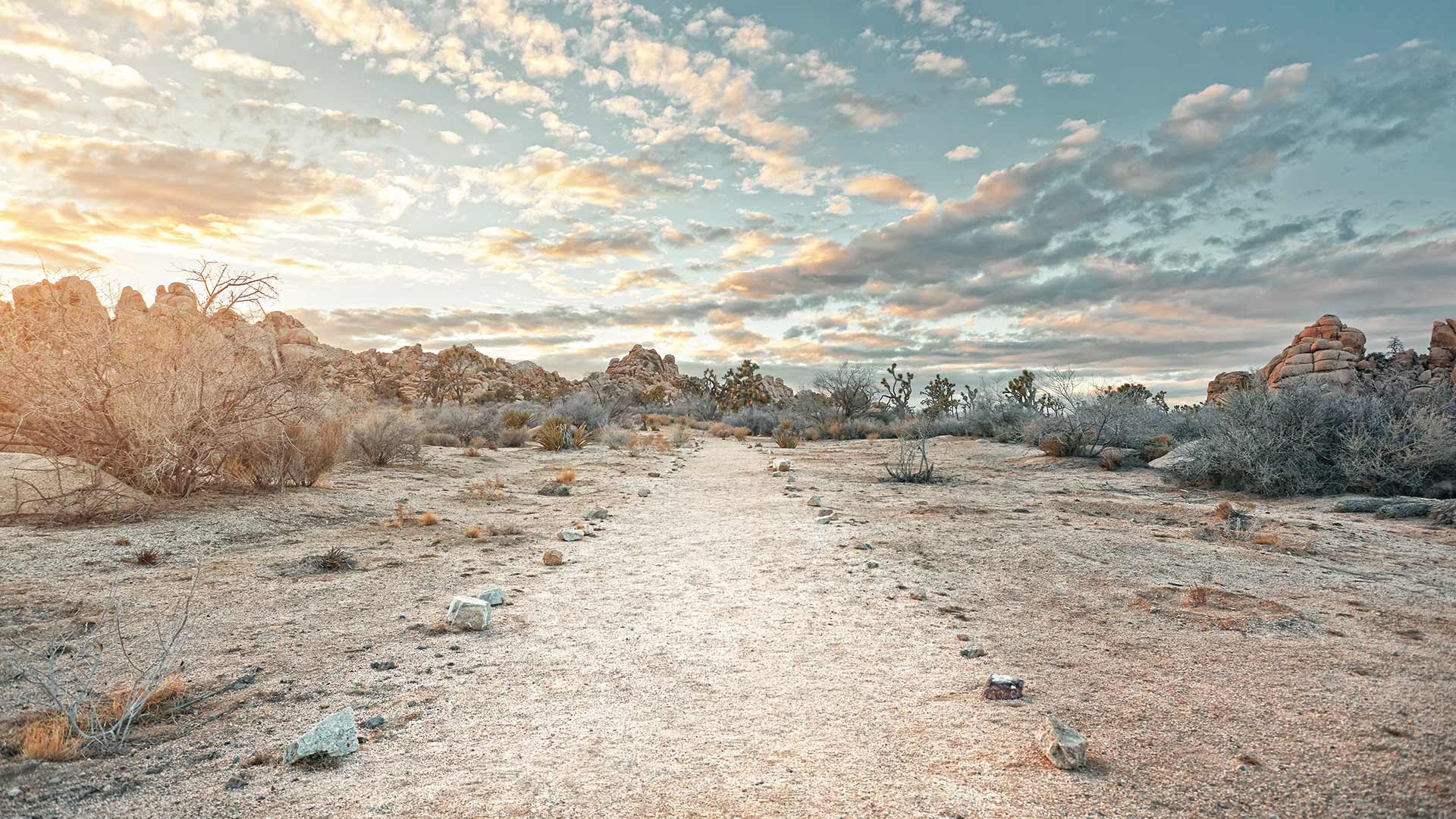 Where two deserts collide