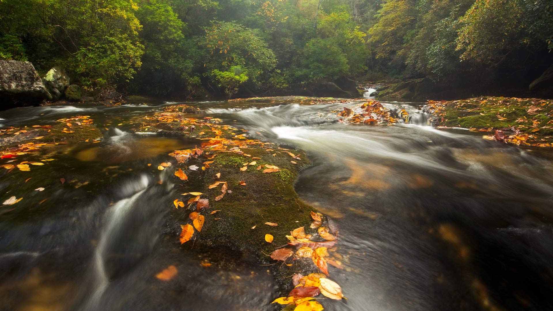 A river worth protecting