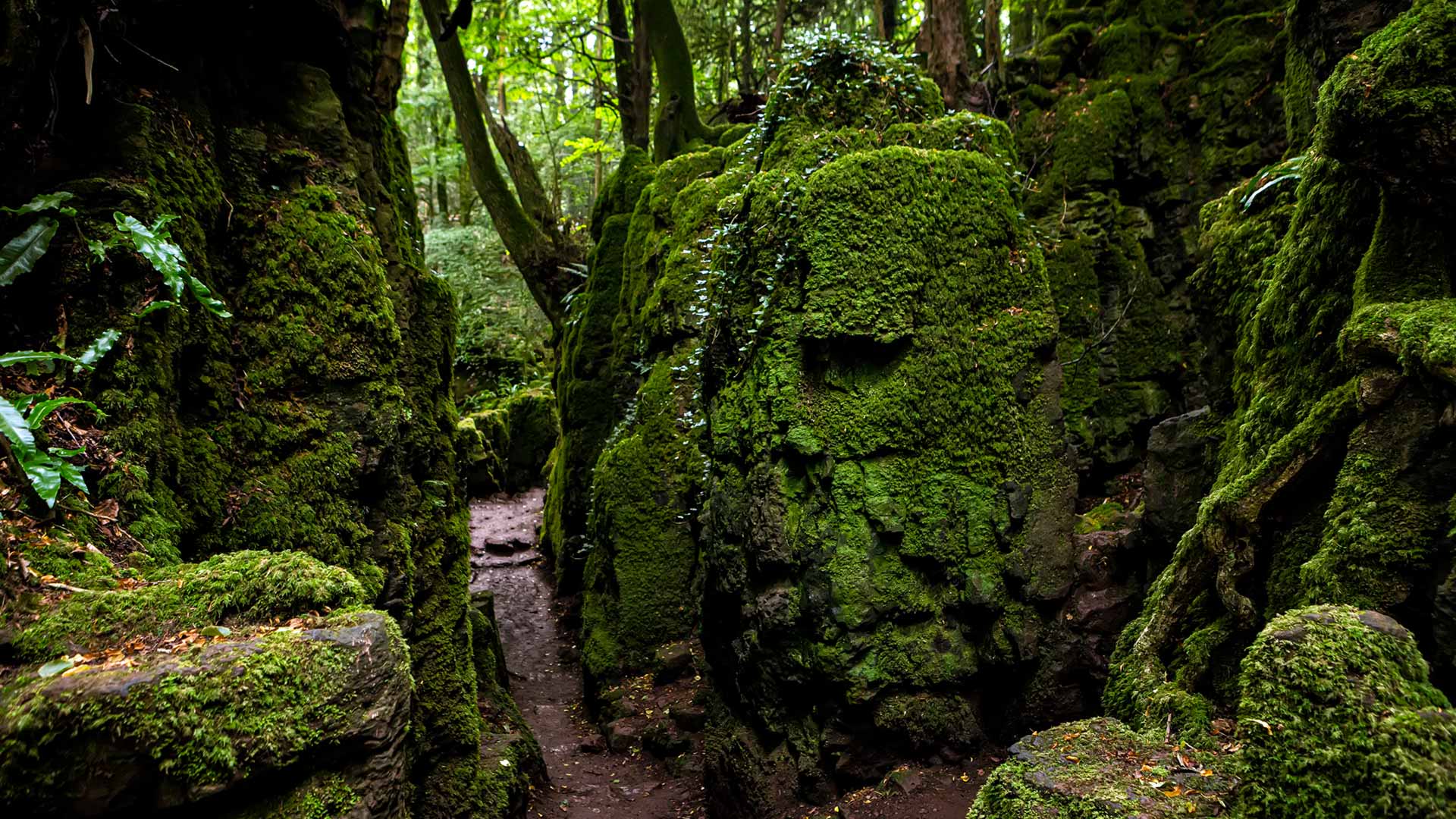 Puzzled? Follow the trail